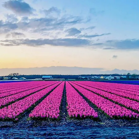 Stunning In With Wifi