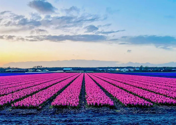 Stunning In With Wifi